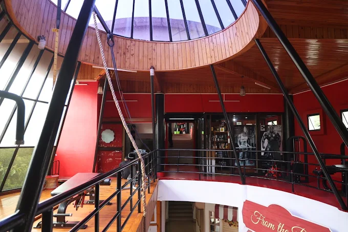 Nongmysong branch: natural light fills the wood-lined atrium