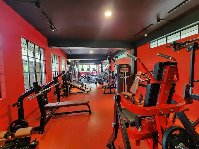 Red strength-training machines and naturally lit workout floor at the Nongmysong branch of Flag's Fitness First
